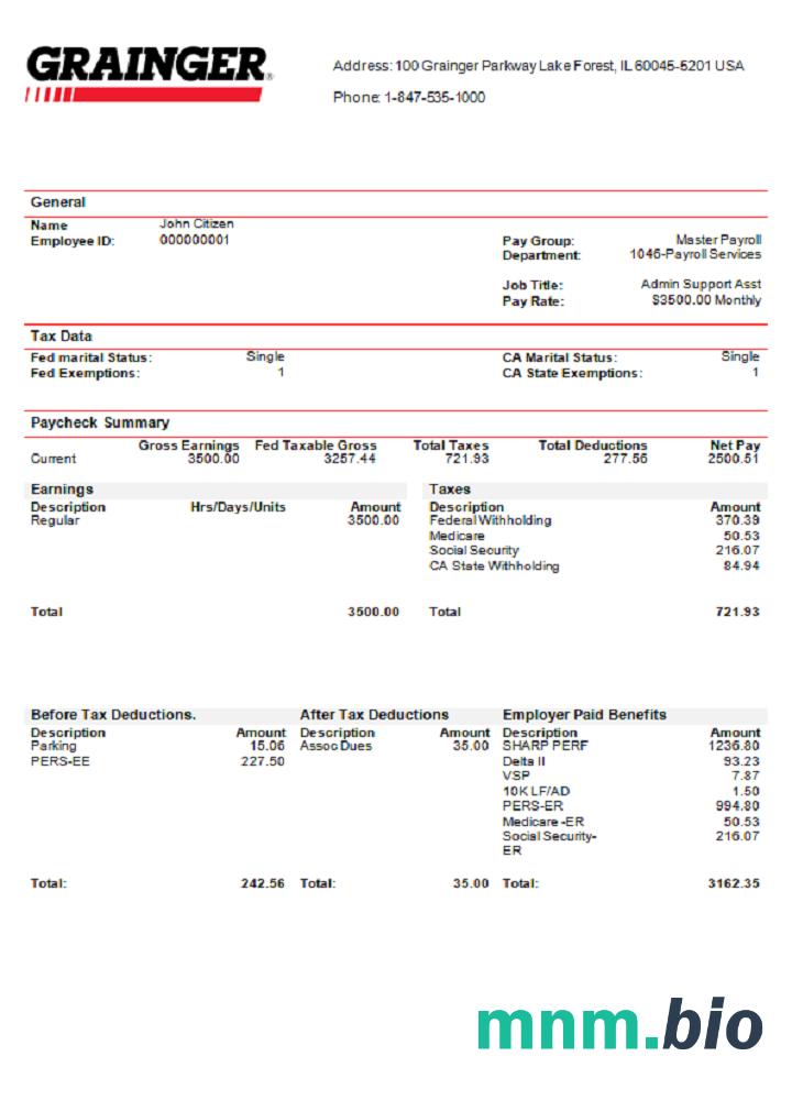 USA Grainger industry company pay stub